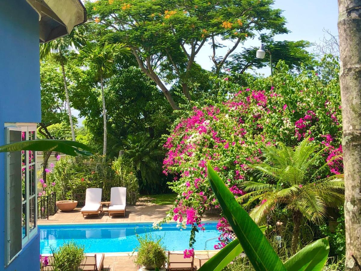 Bed & Breakfast The Blue House Boutique Bed & Breakfast Ocho Rios