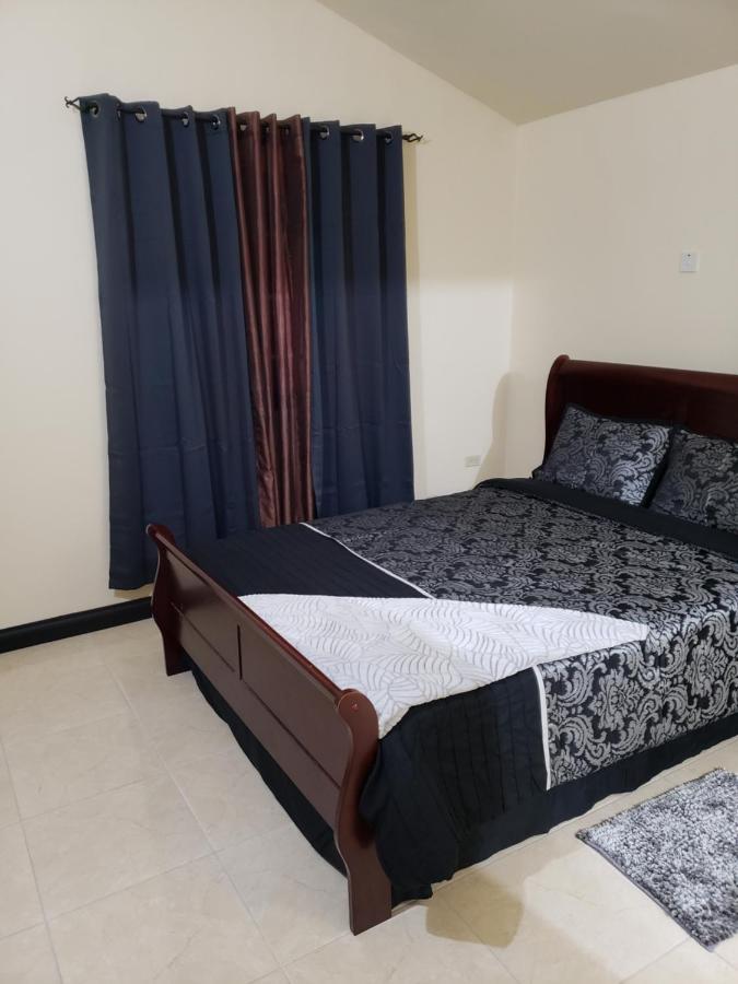 Close To Area And Airport Ferienhaus Montego Bay