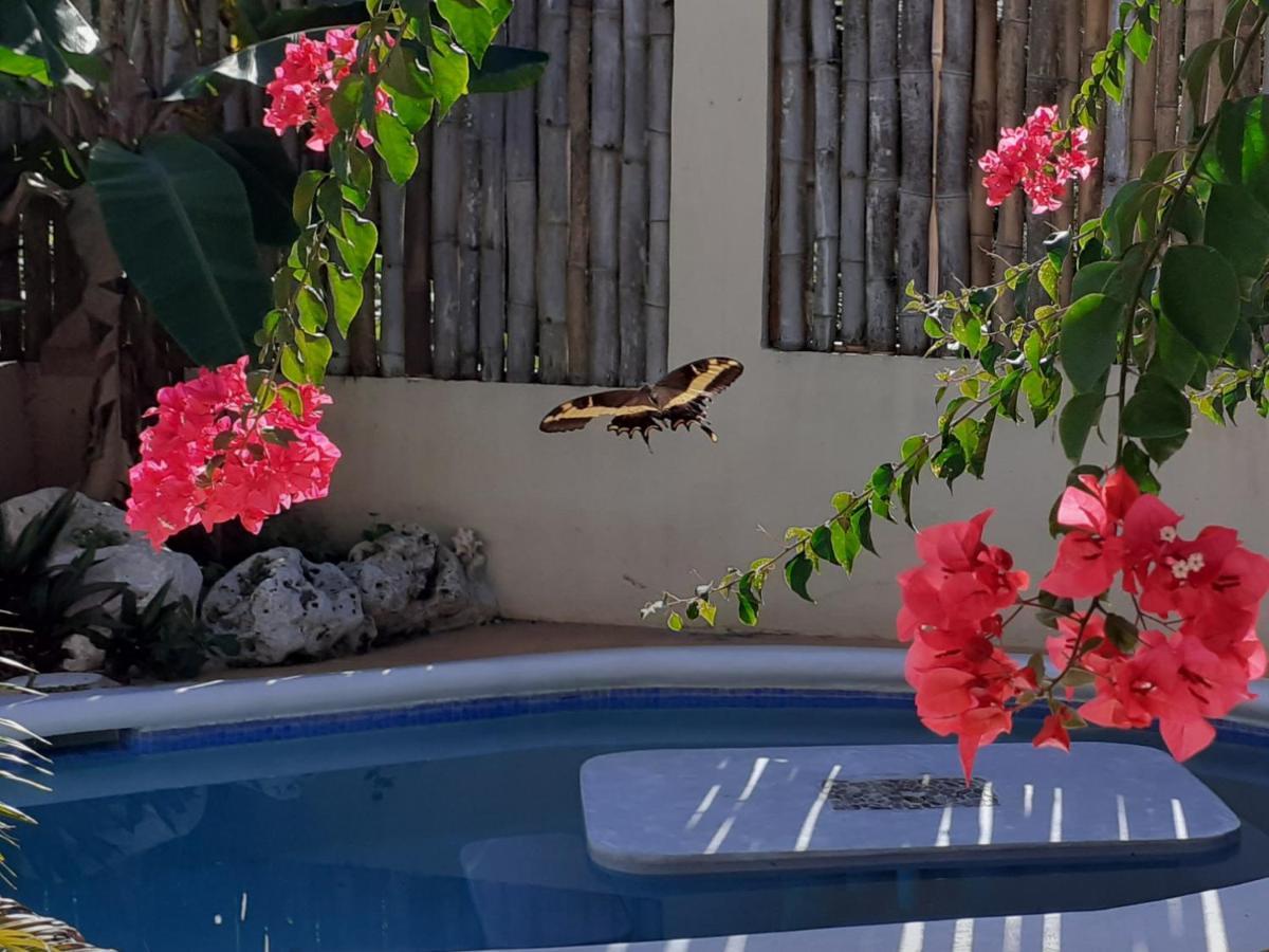 Ltu Garden 3* Negril