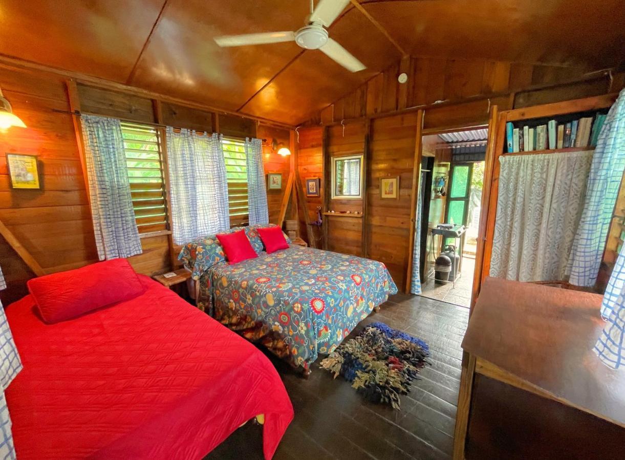Hostel Judy House Cottages And Rooms Negril