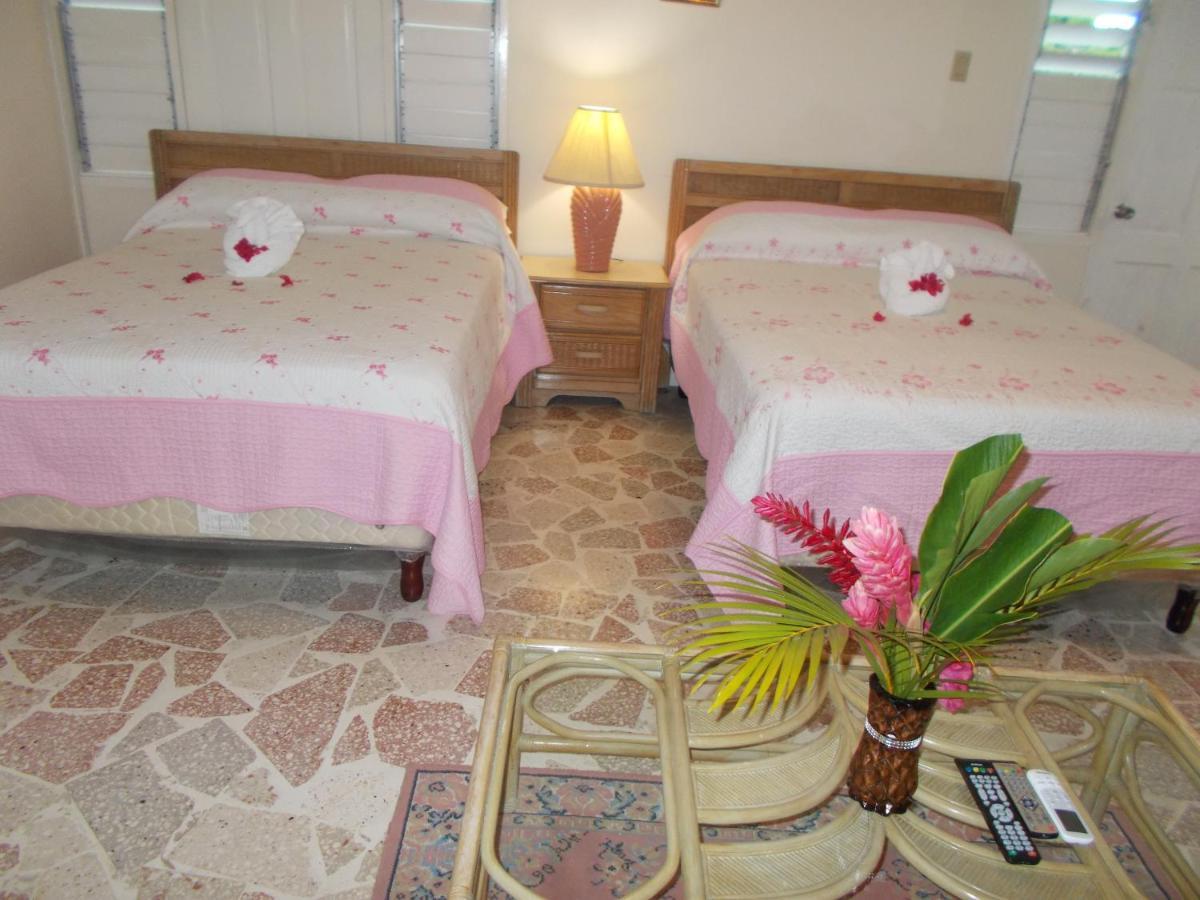 Gasthof Paradise Port Antonio