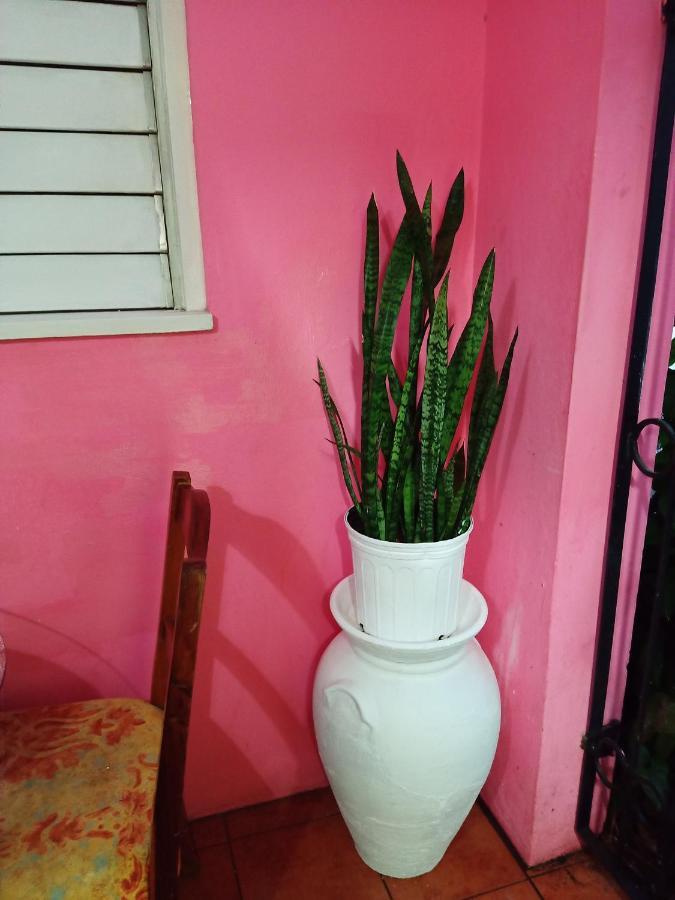Barbican Cozy Flat At Dillsbury Bed & Breakfast
