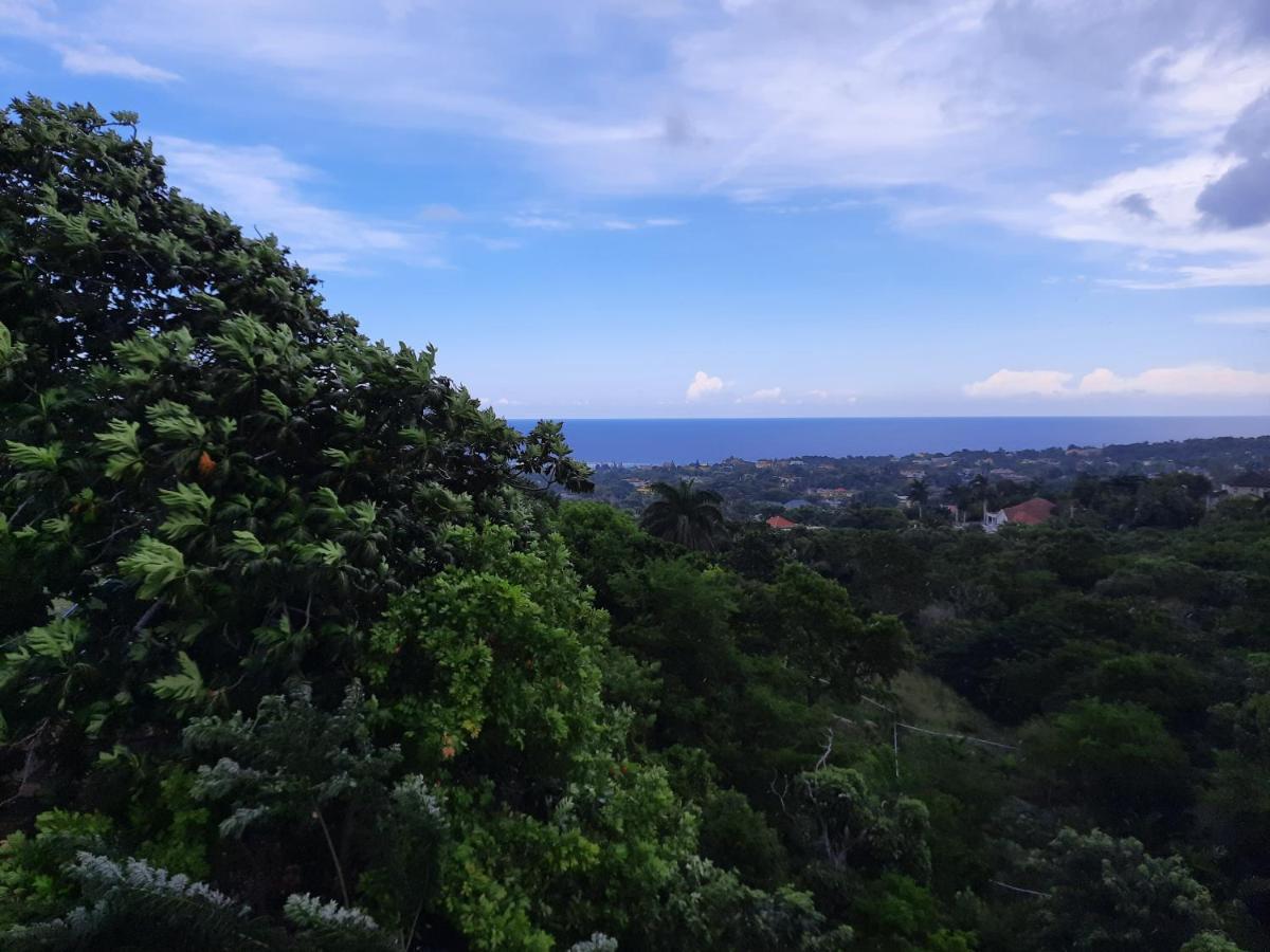 Guest house Burg Ann's Montego Bay