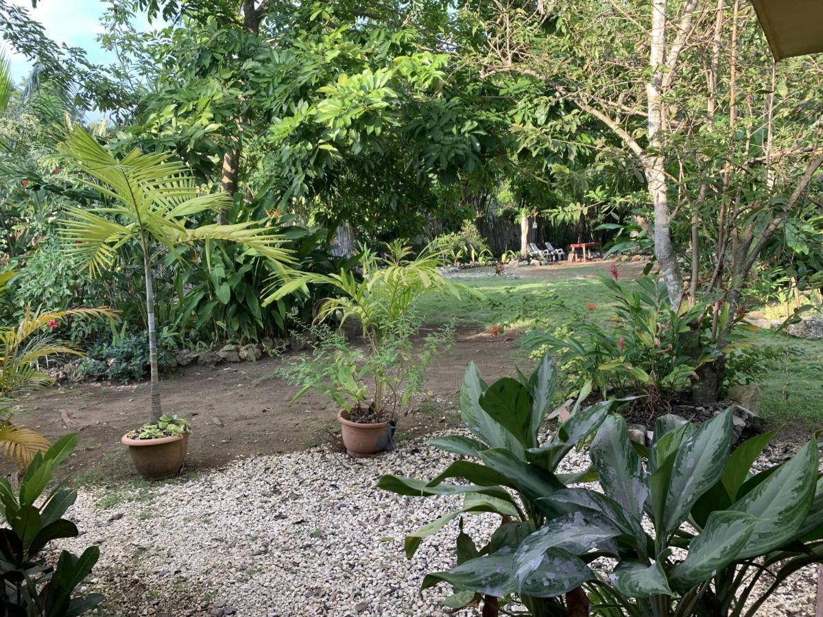 Acomodação com café da manhã  Jam Retreat Negril