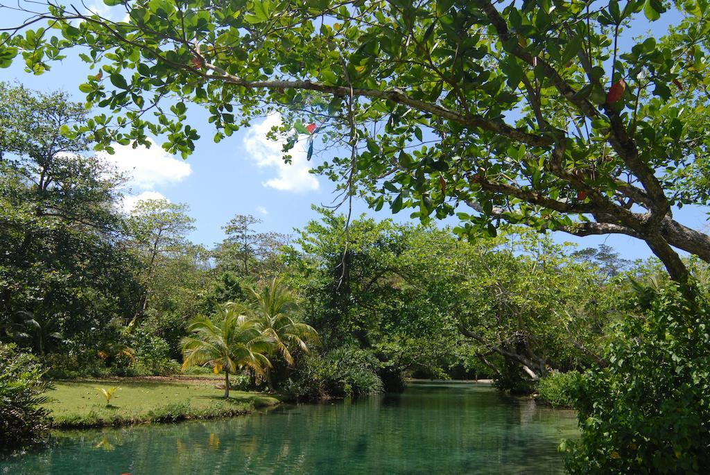 Bonne Amie Villa