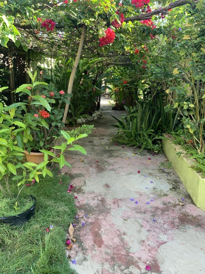 Jam Retreat Acomodação com café da manhã  Negril