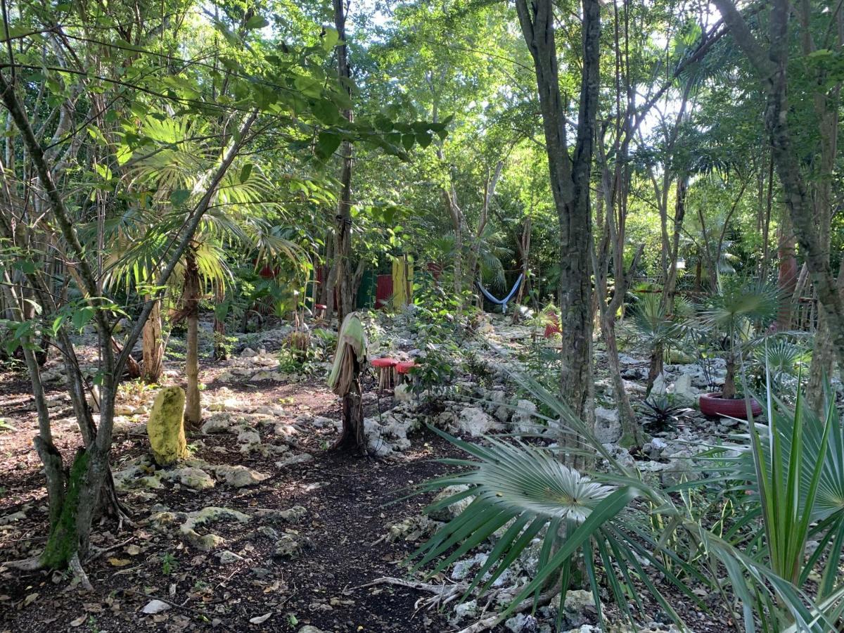 Jam Retreat Acomodação com café da manhã  Negril