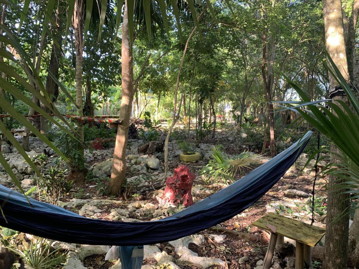 Acomodação com café da manhã  Jam Retreat Negril