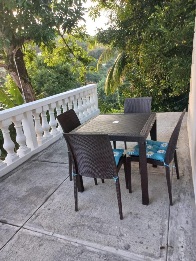 Red Hassell Manor Gasthof Port Antonio