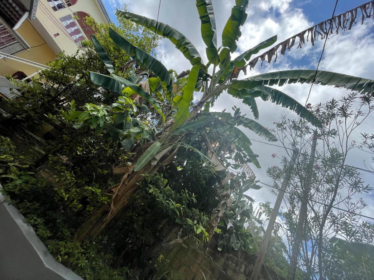 Little Shaw Park Gasthof Ocho Rios