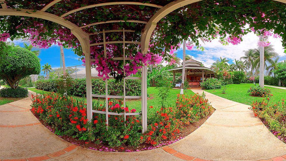 Sandals All Inclusive - Couples Only (adults Only) Resort 5*