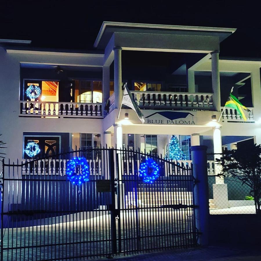 Bed & Breakfast Blue Paloma *