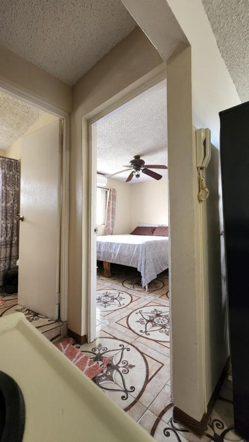 Apartment Oaklands Oasis Kingston