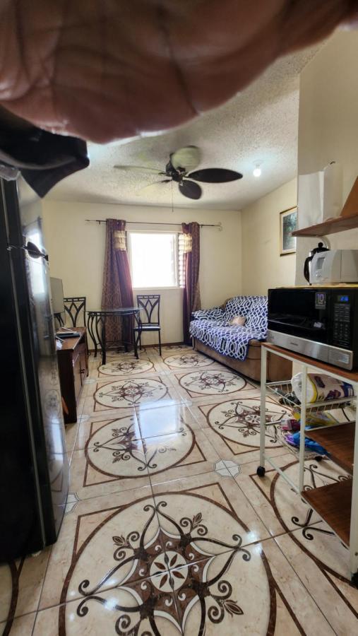 Oaklands Oasis Apartment Kingston