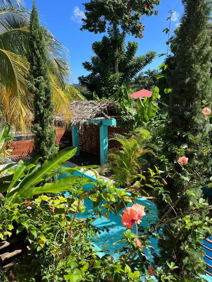 Hidden Gem @ White River - Secluded Retreat For Two Guest house