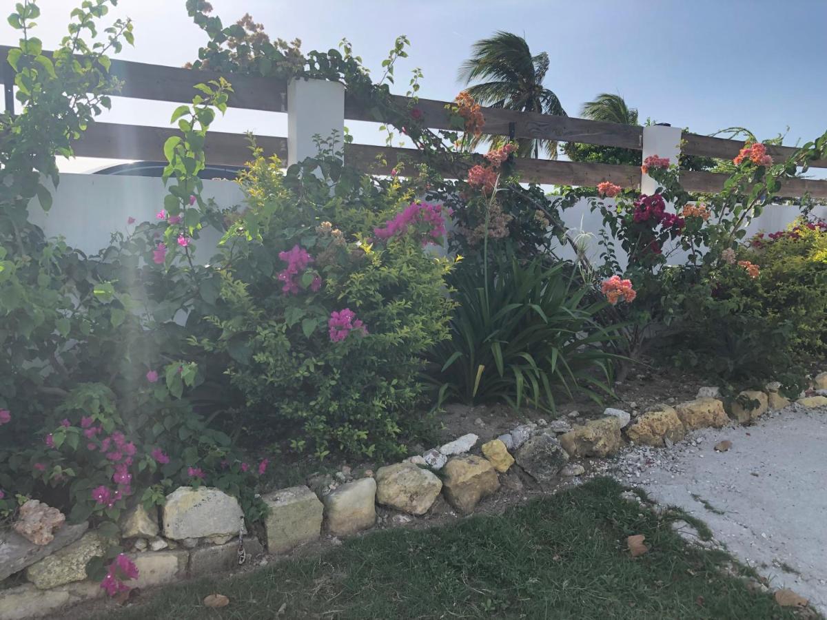 Airport * Montego Bay