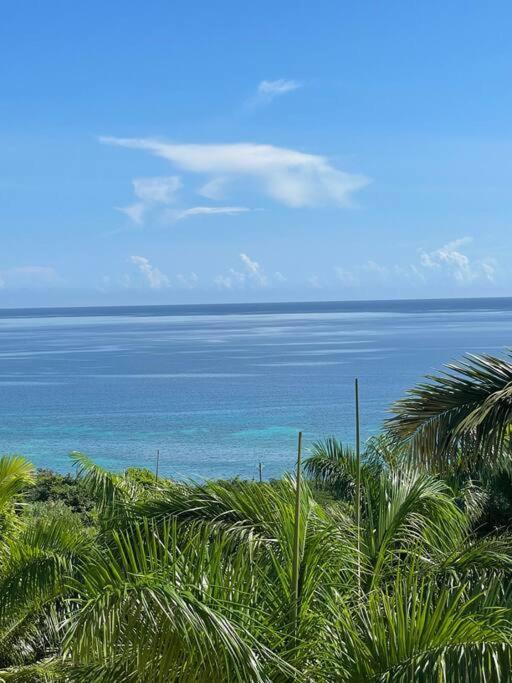 Spring Garden Mobay Luxurious Apartamento *
