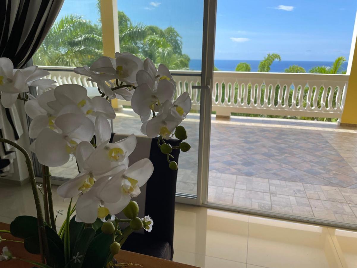 Spring Garden Mobay Luxurious Apartamento *