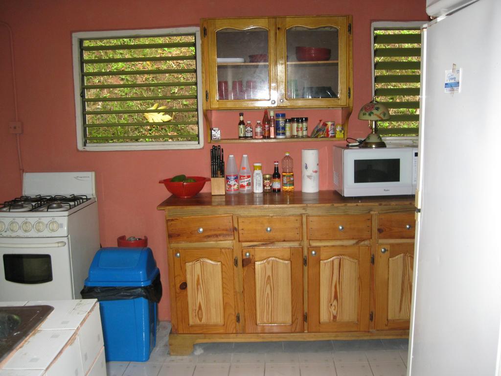 Pineapple Hill Sea View * Port Antonio