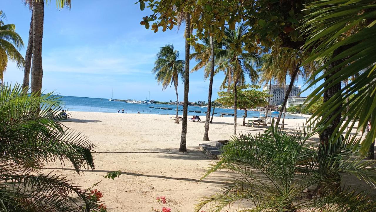 Beachview Studio