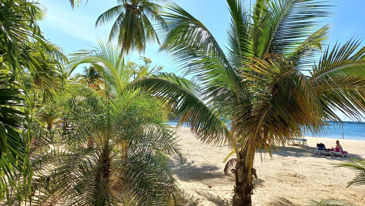 Beachview Studio