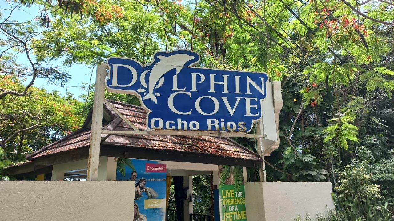 Beachview Studio Aparthotel Ocho Rios