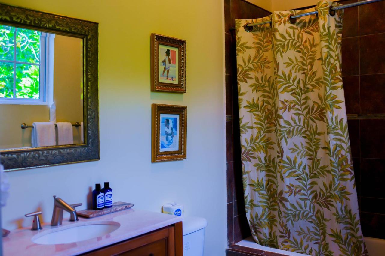 Bed & Breakfast Blue Paloma Lucea