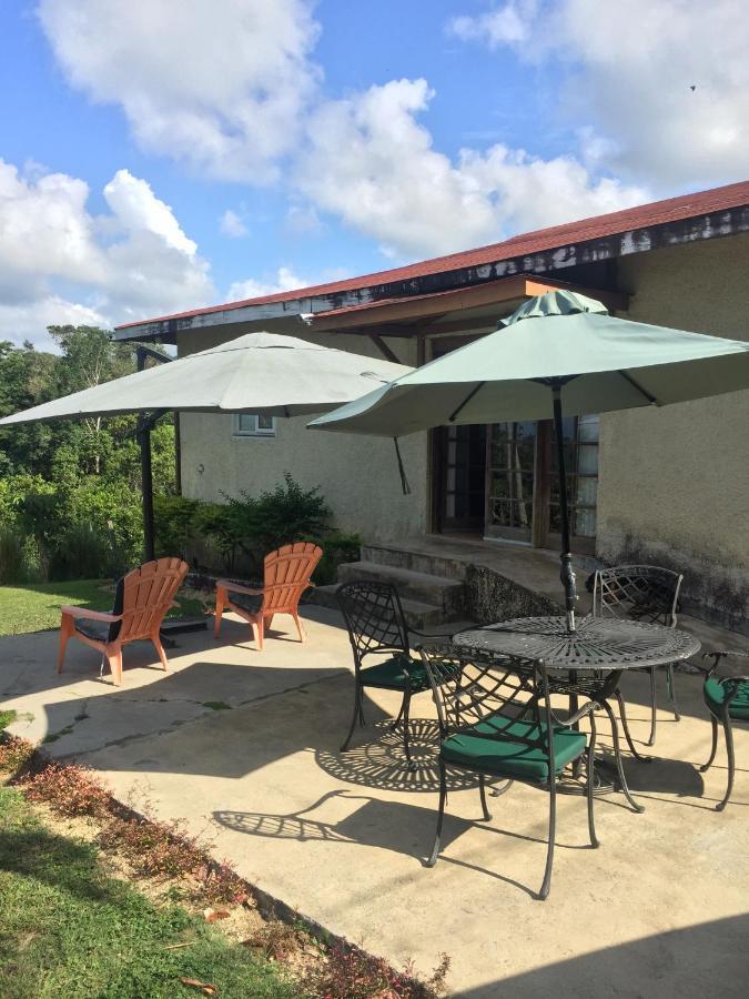 Teresinajamaica Guest house 2*