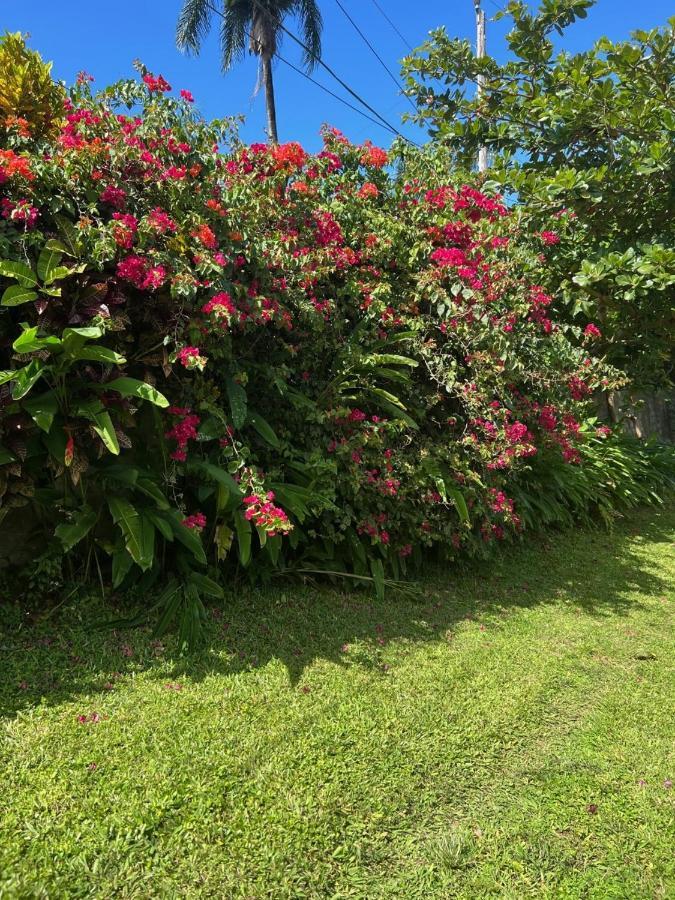 Guest house Teresinajamaica Saint Ann's Bay