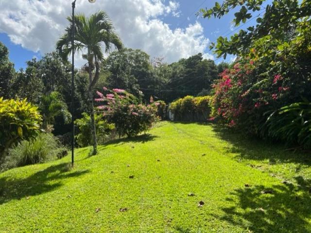 Teresinajamaica 2*