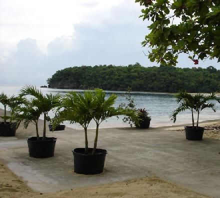 Crystal Ripple Beach