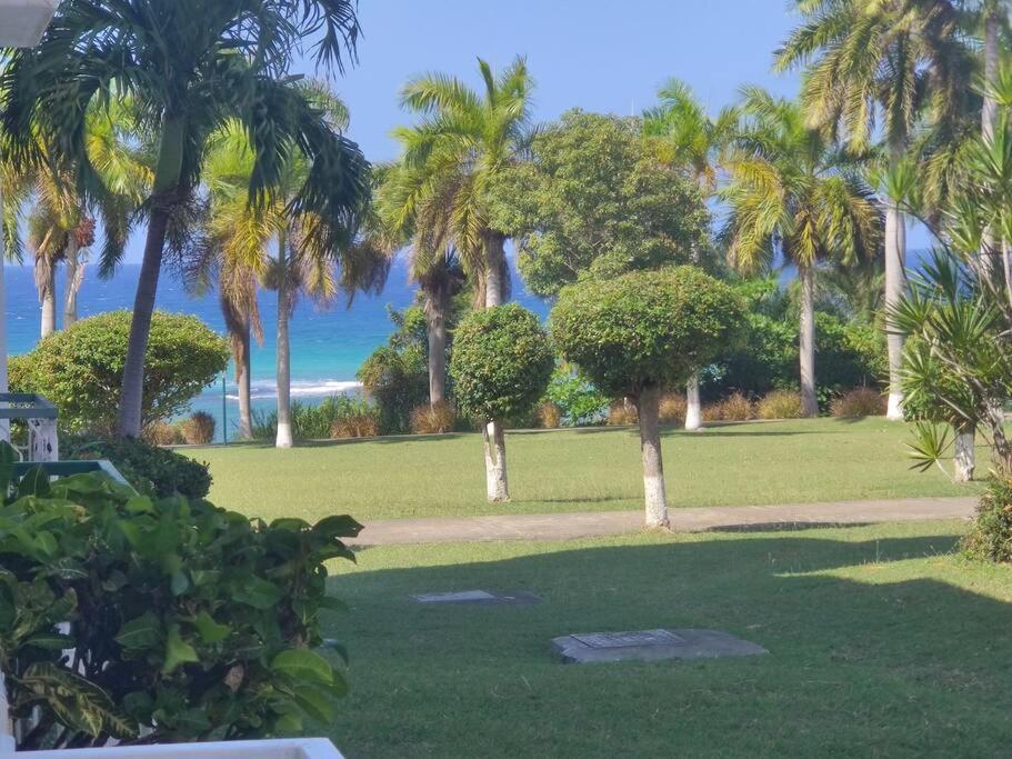 Cozy W/ocean View, Pool & Access Apartamento *