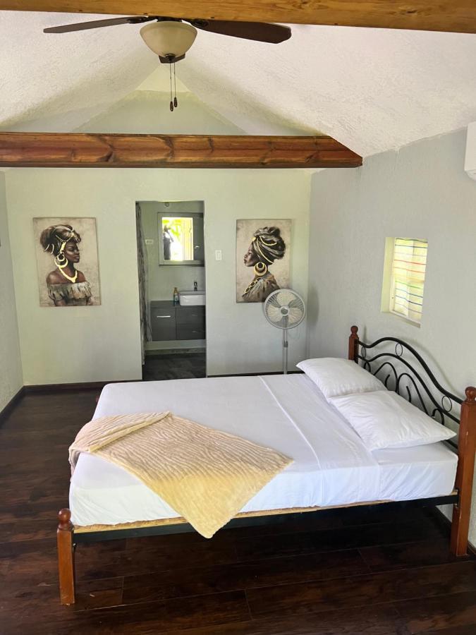 Jamaica Colors And Eco-retreat Hotel Port Antonio