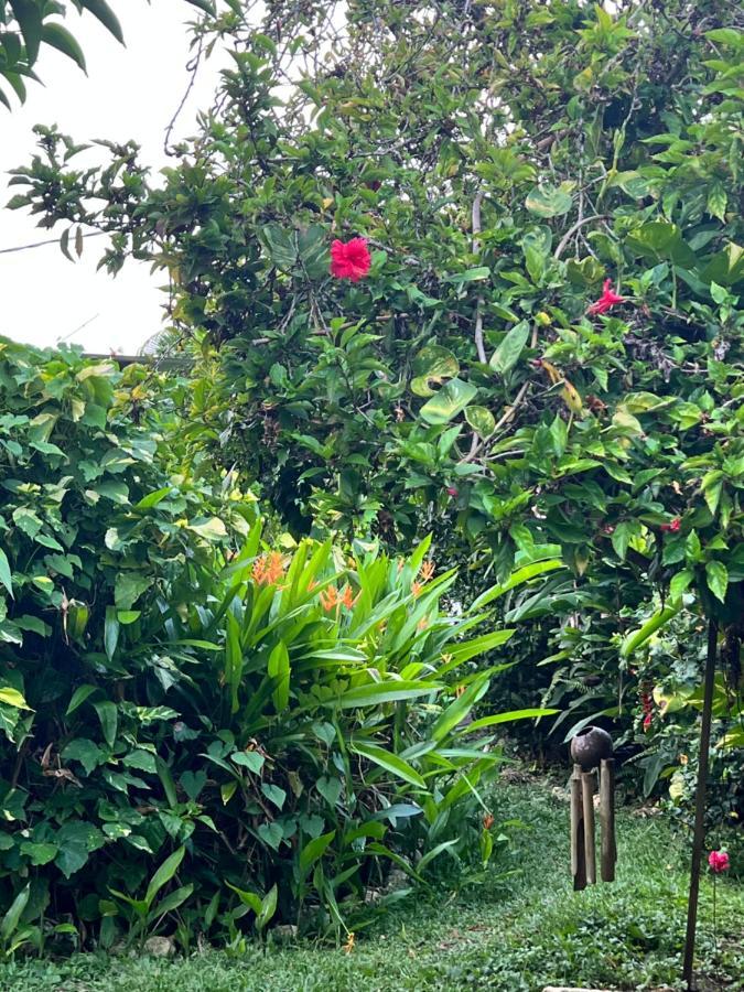 Hotel Jamaica Colors And Eco-retreat