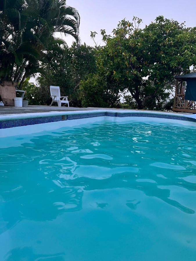 Jamaica Colors And Eco-retreat Hotel Port Antonio