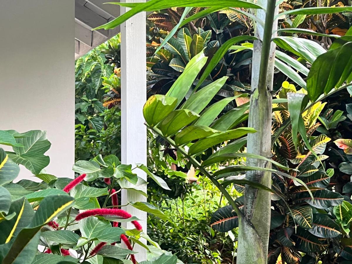 Hotel Jamaica Colors And Eco-retreat 4*