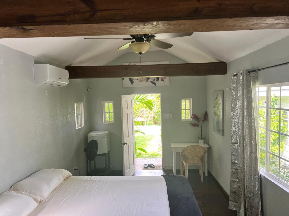 Jamaica Colors And Eco-retreat