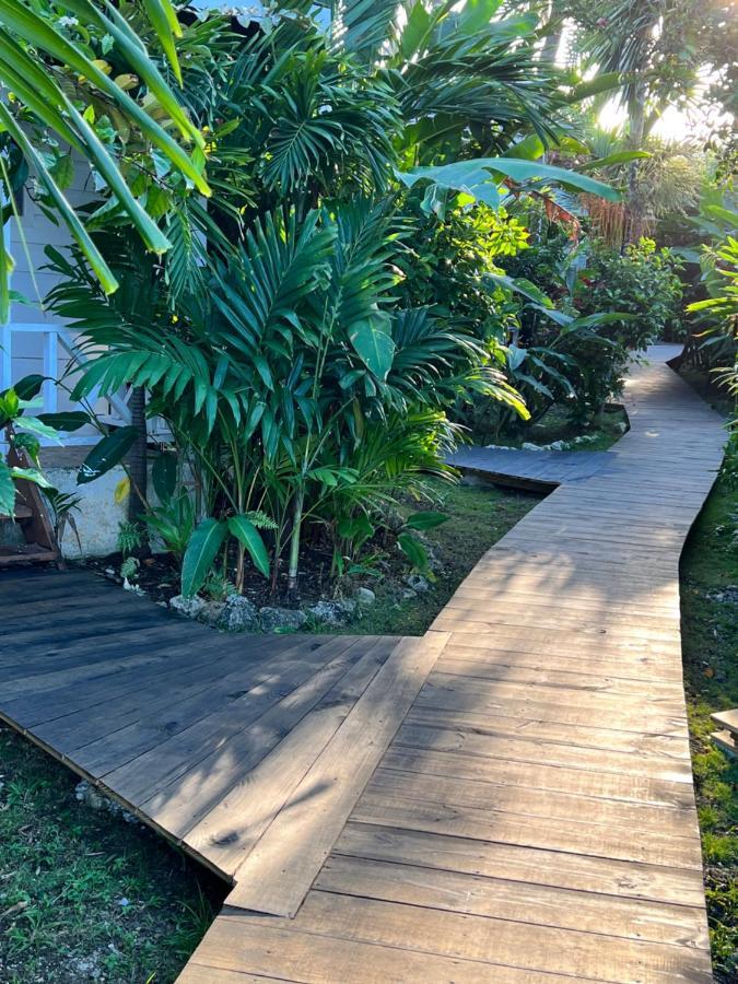 Hotel Jamaica Colors And Eco-retreat Port Antonio