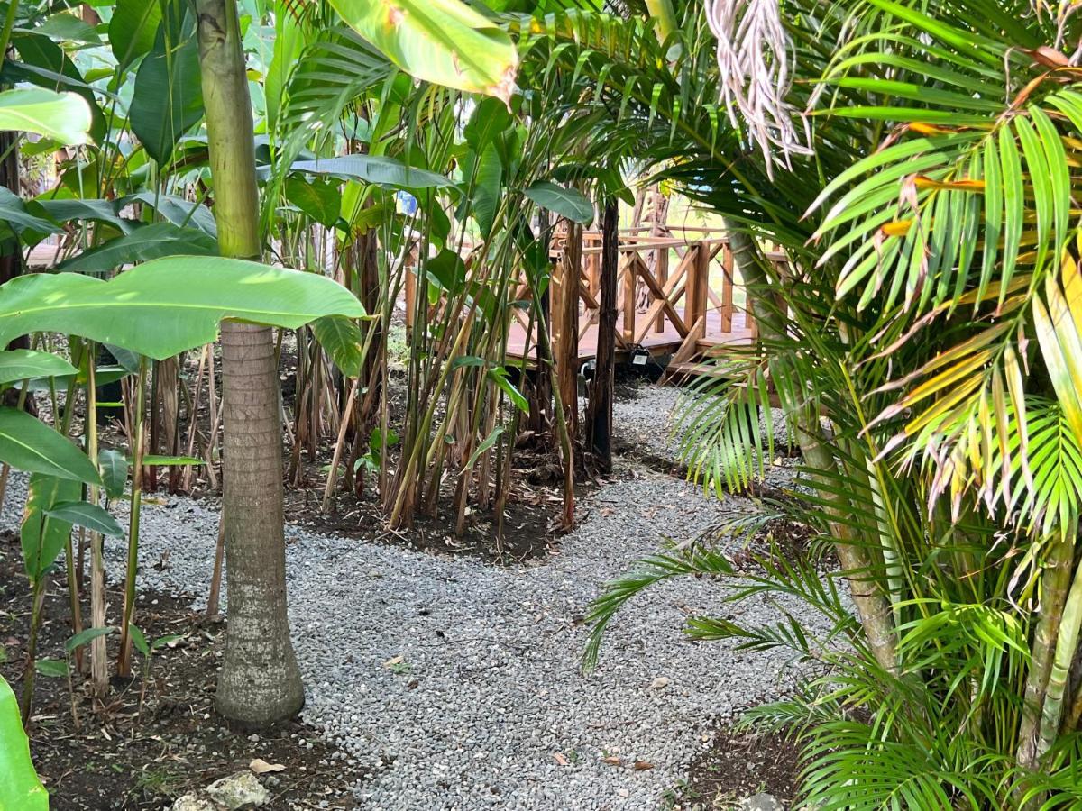 Jamaica Colors And Eco-retreat Hotel Port Antonio