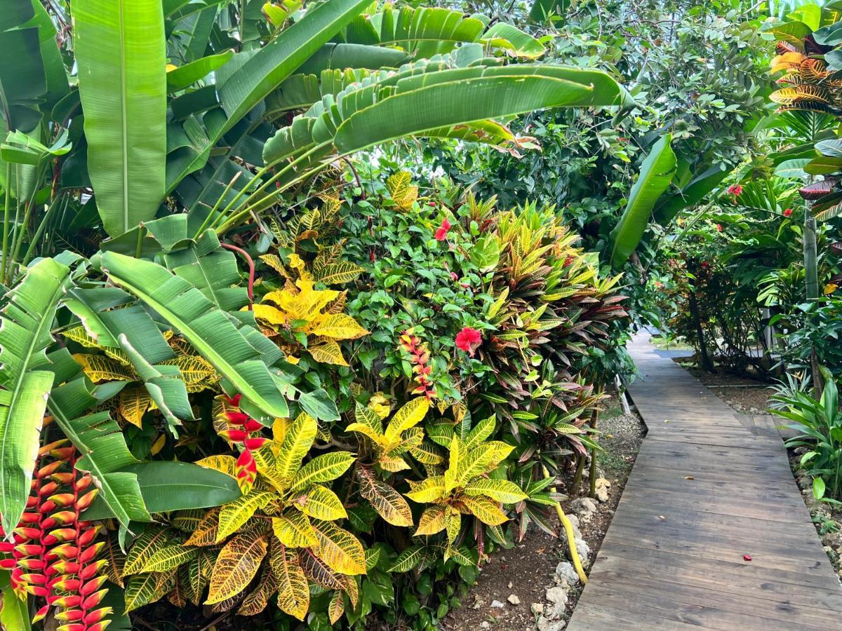 Jamaica Colors And Eco-retreat Hotel