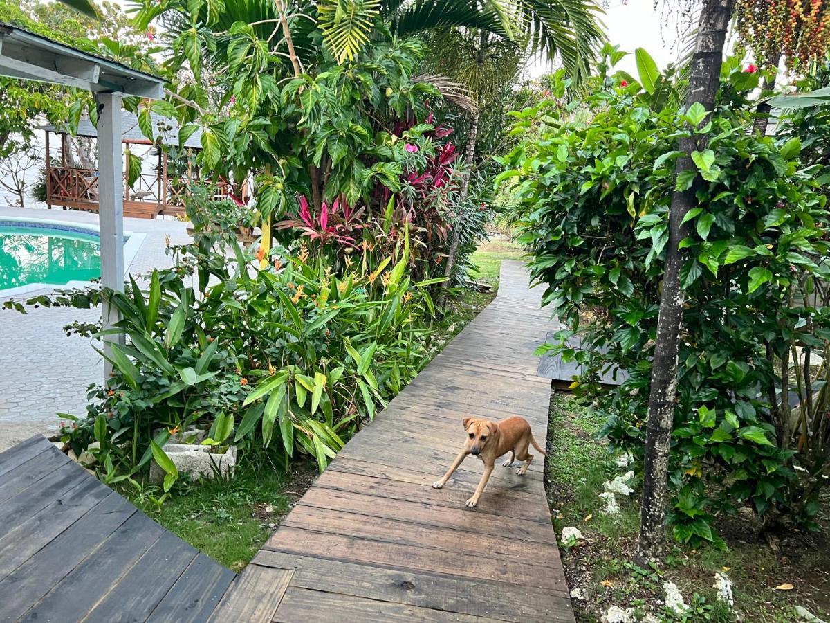 Hotel Jamaica Colors And Eco-retreat 4*