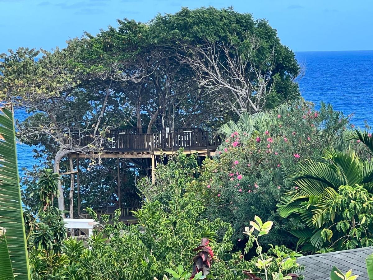 Jamaica Colors And Eco-retreat Hotel Port Antonio