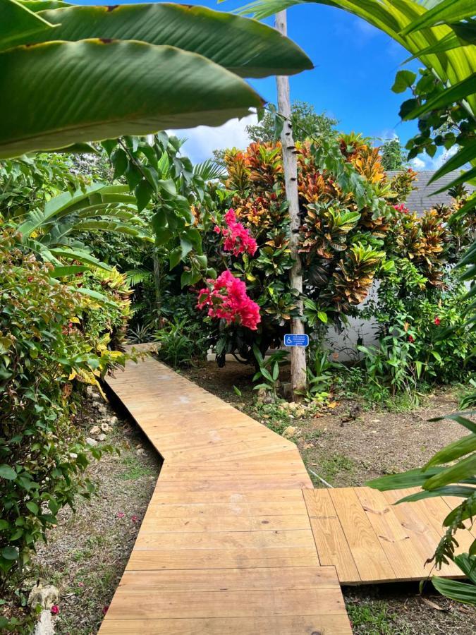 Hotel Jamaica Colors And Eco-retreat 4*