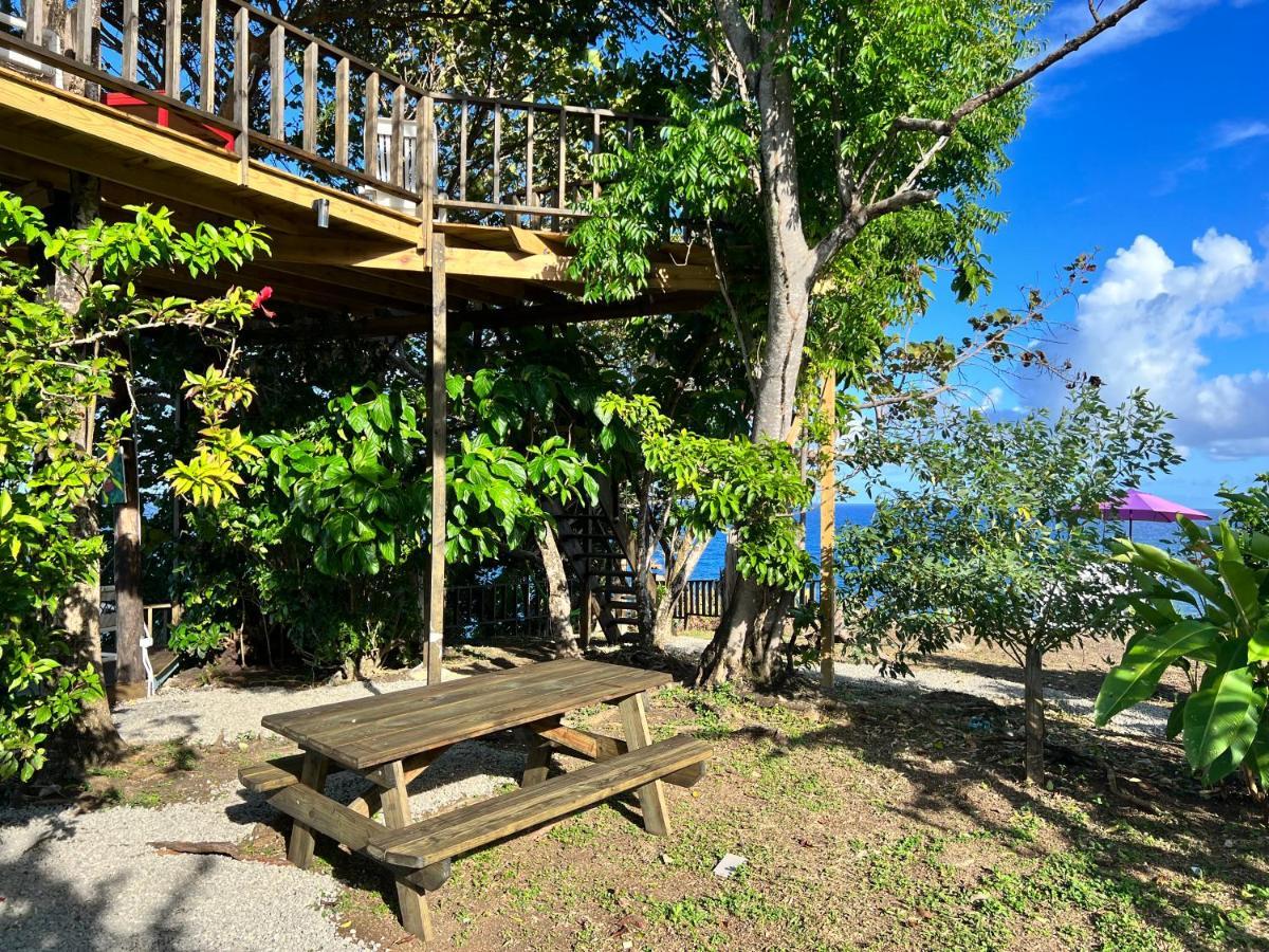 Hotel Jamaica Colors And Eco-retreat