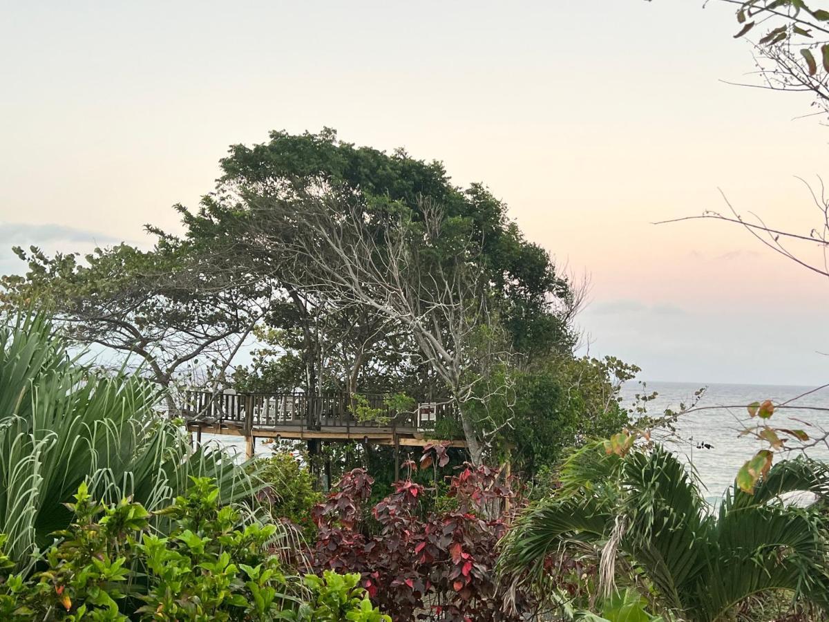 Jamaica Colors And Eco-retreat 4*