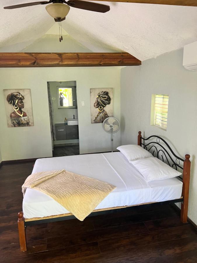 Jamaica Colors And Eco-retreat