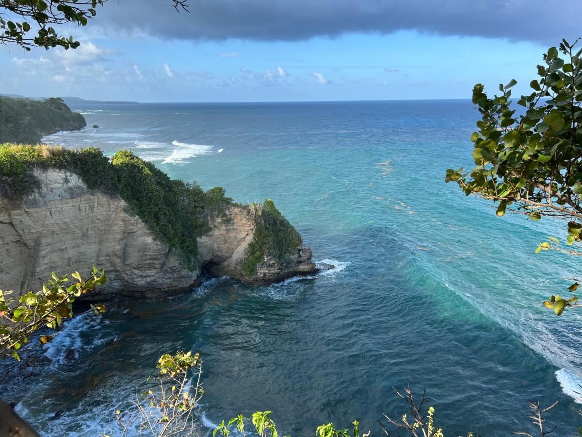 Hotel Jamaica Colors And Eco-retreat Port Antonio