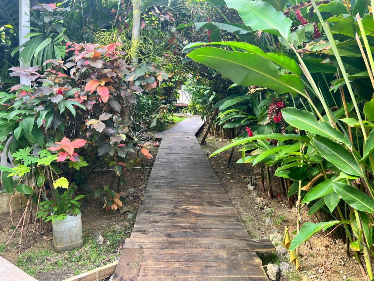 Jamaica Colors And Eco-retreat 4* Port Antonio