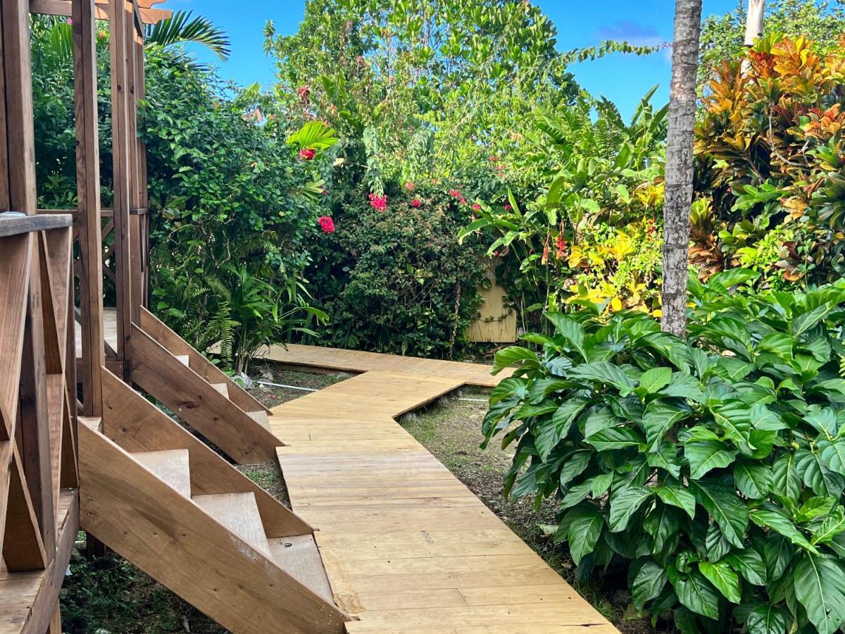 Jamaica Colors And Eco-retreat