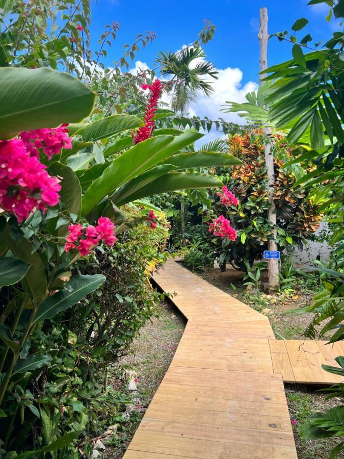 Hotel Jamaica Colors And Eco-retreat Port Antonio